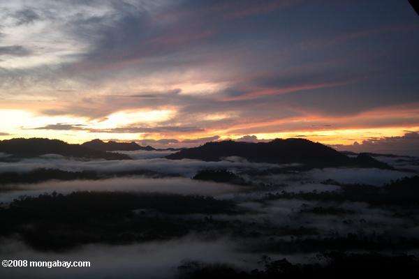 霧日没ではボルネオ島の熱帯雨林から上昇