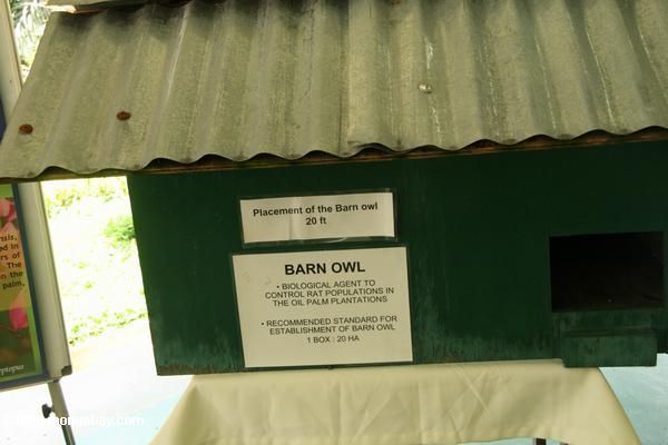 フクロウボックスipmの納屋フクロウ、油ヤシのプランテーションのラットの人口を制御する生物剤を誘致するために使われます