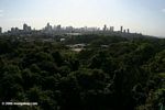 Panoramic of Panama city as seen from atop the rainforest canopy crane in Parque Natural Metropolitano (Metropolitan Natural Park)