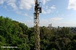 The Smithsonian Tropical Research Institute employs a construction crane to study the rainforest canopy