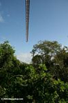 Rain forest canopy crane in Panama City's urban park