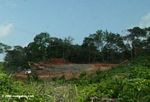 Deforestation near Colon