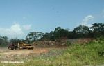 Forest clearing for development near the Zona Libre of Colon