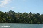 Soberania National Park in the Panama Canal Zone