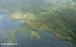 Plane view of Bocas del Toro mangrove islands