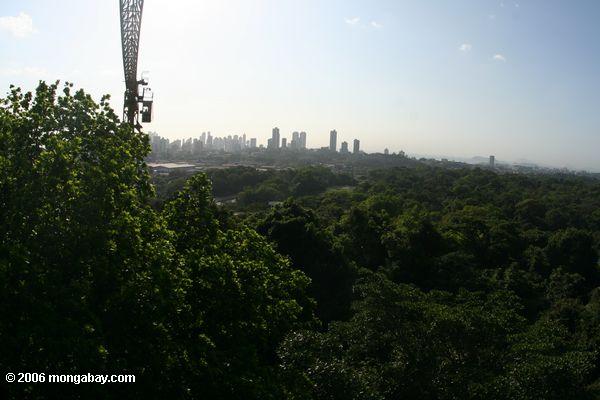 パナマでの取り消し線の熱帯雨林の林冠クレーン市