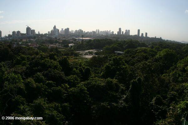 Panoramisch vom Panama City, wie auf vom rainforest überdachungkran Parque im natürlichen Metropolitano (natürlicher Metropolitanpark)