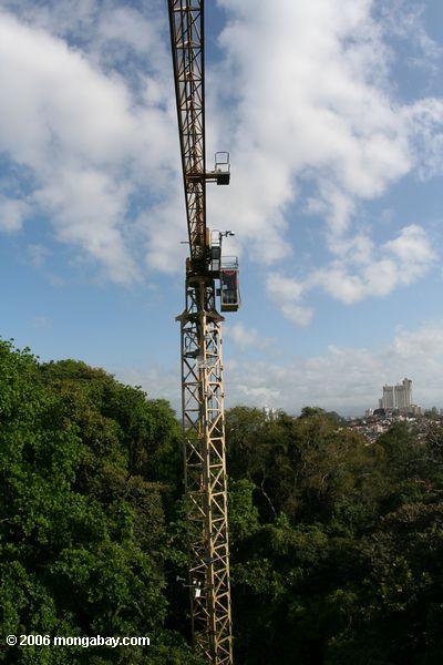 Smithsonian tropisches Forschungsinstitut benutzt einen Aufbaukran, um tropische Waldforschung Panama