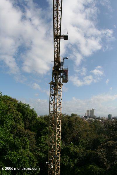 取り消し線パナマの熱帯林の研究を実施するための建設クレーンを採用