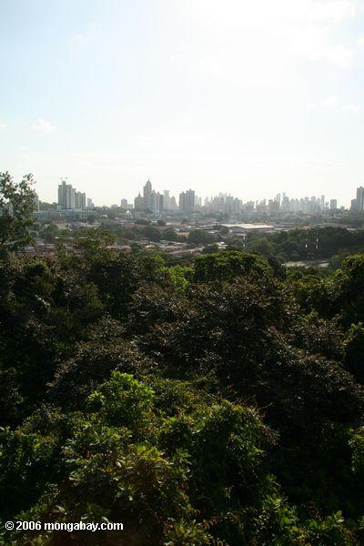 parque自然Metropolitanoは（首都圏の自然公園内の熱帯雨林の林冠クレーン頂上から見たパナマ市）