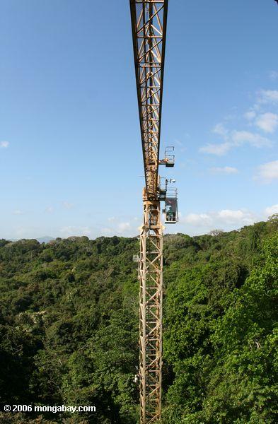 パナマの熱帯雨林の林冠研究クレーン