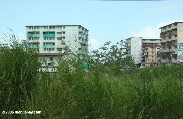 государственные жилищные проекты, авторами были построены на свалки мангровых болотах недалеко кишки, Панама