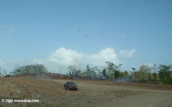 Landfilling Mangrovesumpf im Panama