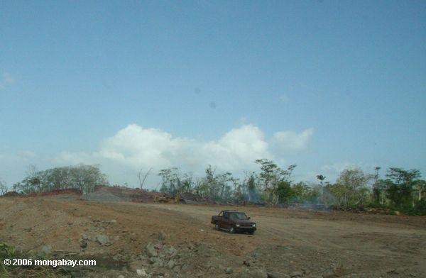 Landfilling Mangrovewälder im Panama
