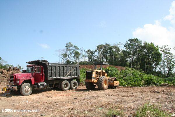 Schwere bewegliche Ausrüstung, die zum freien Wald im Panama Doppelpunkt