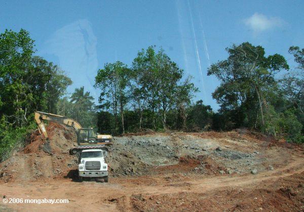 трактор уничтожают лесной деятельности в Панаме
