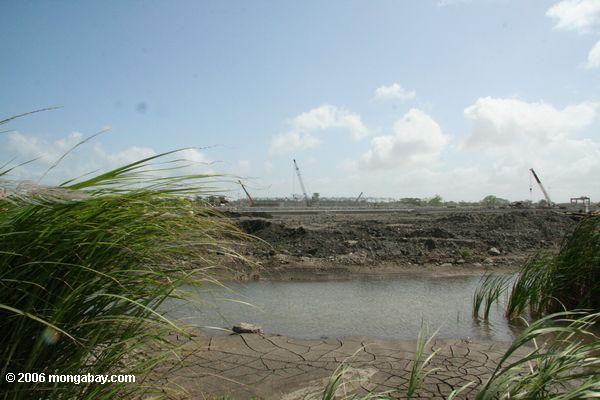 Ehemaliger Mangrovewald, landfilled für Portbehälterspeicher
