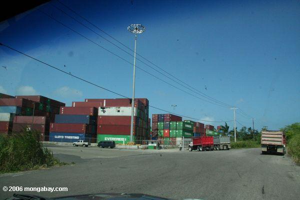 вечнозеленые контейнерного хранения в Панаме