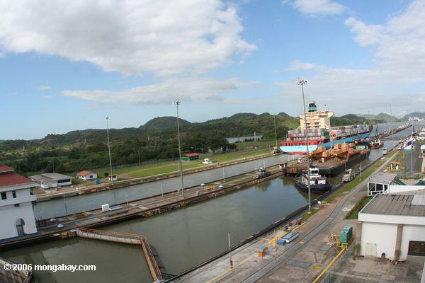 Containerschiff, das durch den Panamakanal