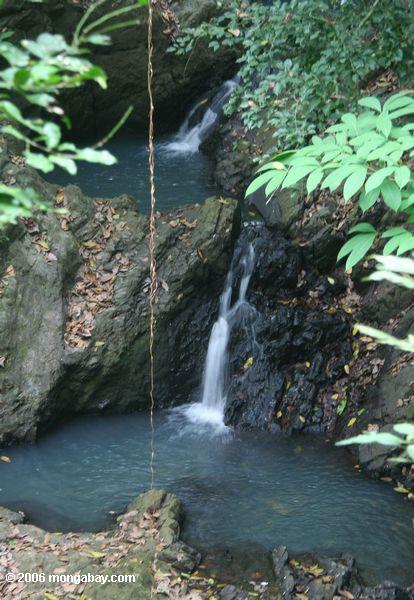 Kleiner Wasserfall Soberania Nationalpark