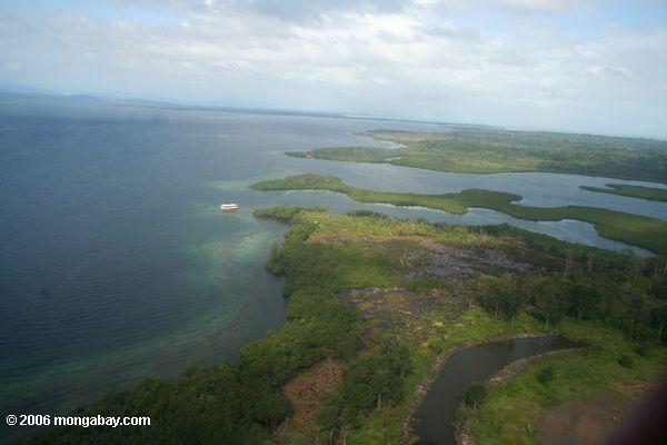 Luftaufnahme der Mangroven in der Bocas Del Toro Region