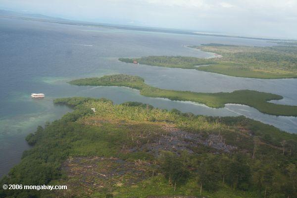 Küstenentwicklung Bocas Del Toro