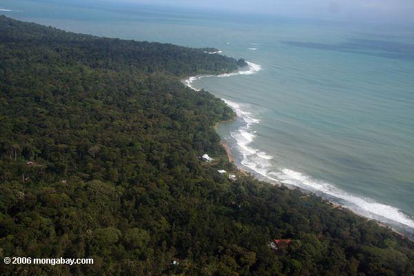 Flugzeugansicht Bocas Del Toro der Küstenlinie