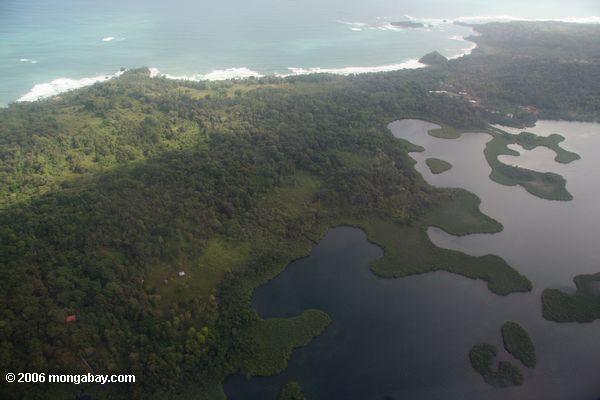 Obenliegende Ansicht von Bocas Del Toro Mangroveinseln