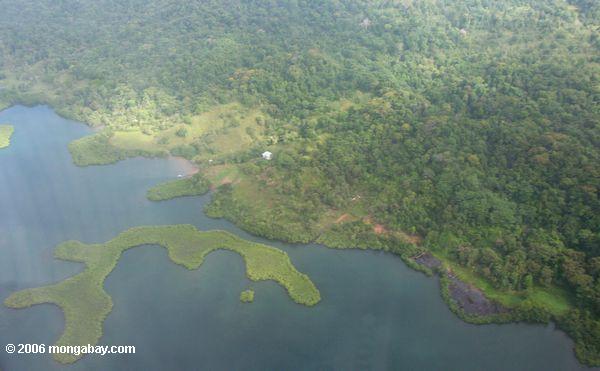 Flache Ansicht von Bocas Del Toro Mangroveinseln