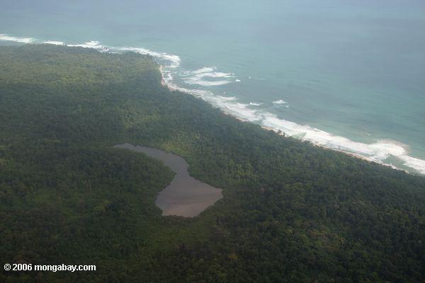 Küstenlagune Bocas Del Toro