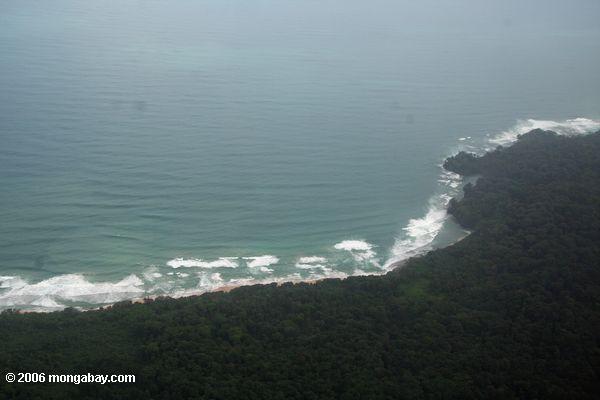 Die Wellen, die auf Bocas Del Toro brechen, setzt
