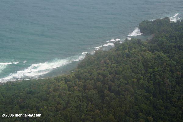 Ansicht von der Fläche Bocas Del Toro der Küstenlinie