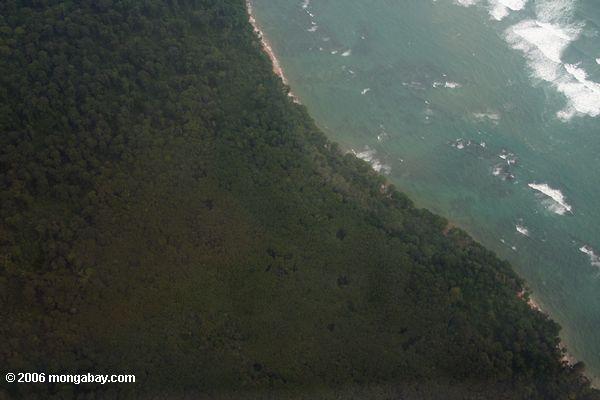 Flugzeugansicht der Mangroven in der Bocas Del Toro Region
