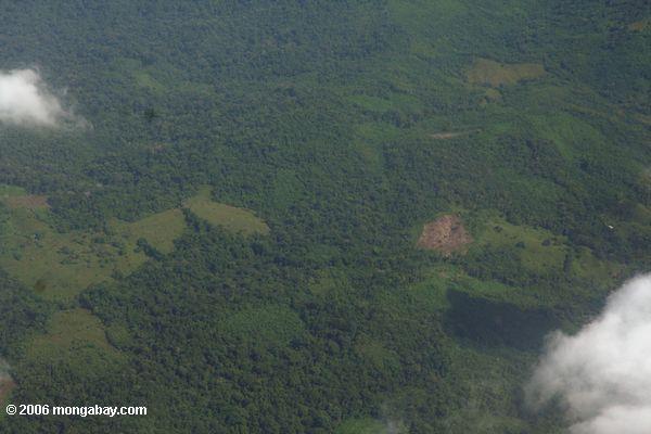 Flecken der Abholzung in Panama