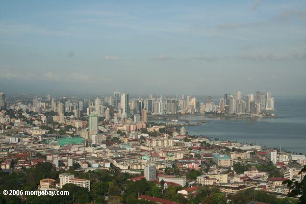 Im Stadtzentrum gelegenes Panama City des Panama- City(Cuidad De