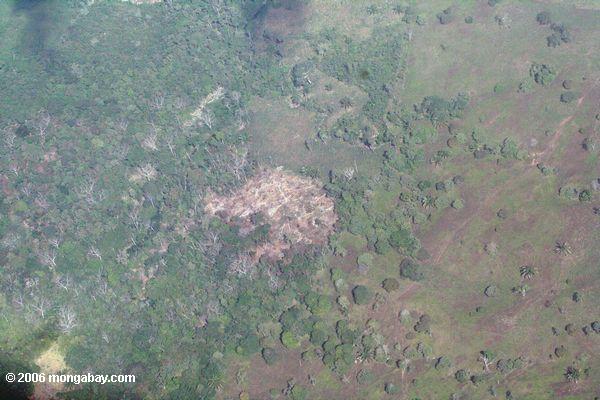 Abholzung in Panama, wie von einem Flugzeug gesehen
