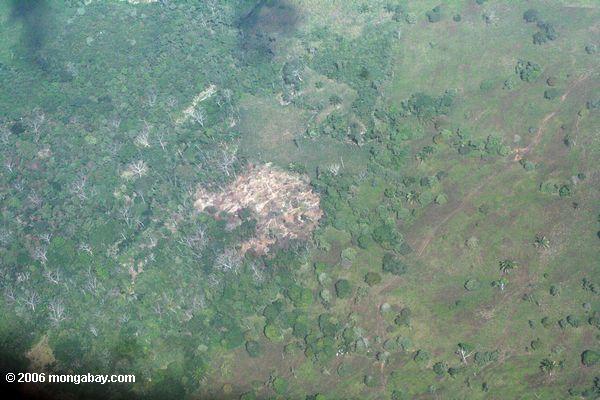 Abholzung in Panama, Luftaufnahme
