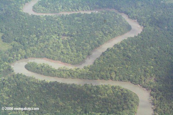 извилистая река в Панаме