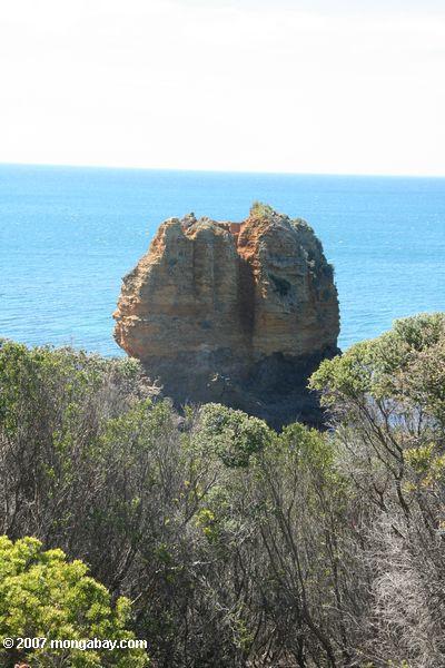 Formación de roca a lo largo de la costa meridional de Australia cerca de la gran carretera del océano