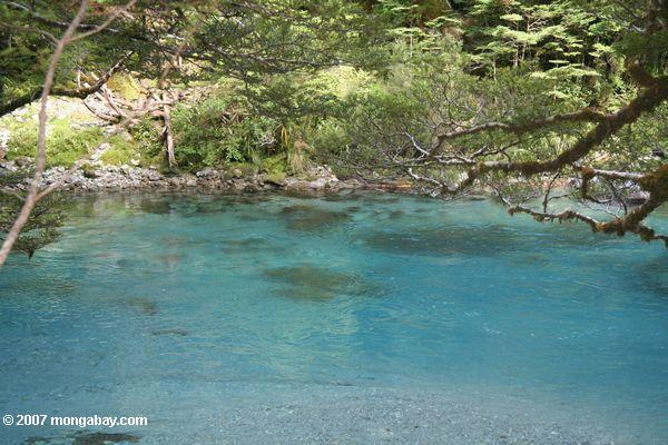 Les eaux d'Azul du fleuve de dard