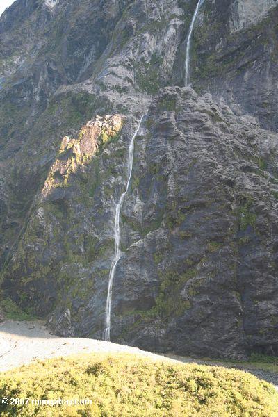 Wasserfall in der Milford Senke