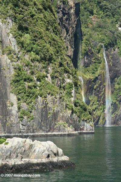 Chutes d'eau en Milford Sound