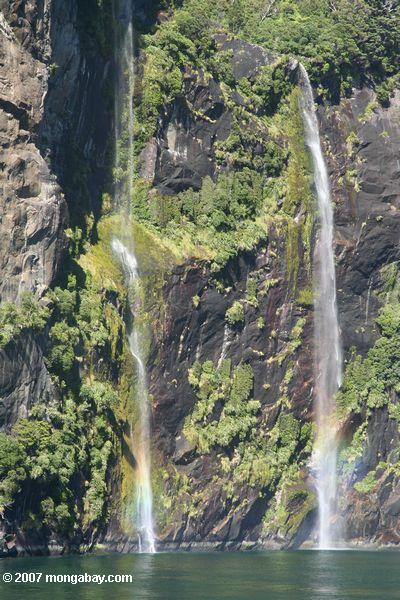 Wasserfälle in Milford Sound