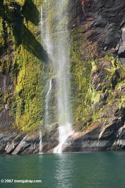 Regenbogen und Wasserfälle in Milford Sound