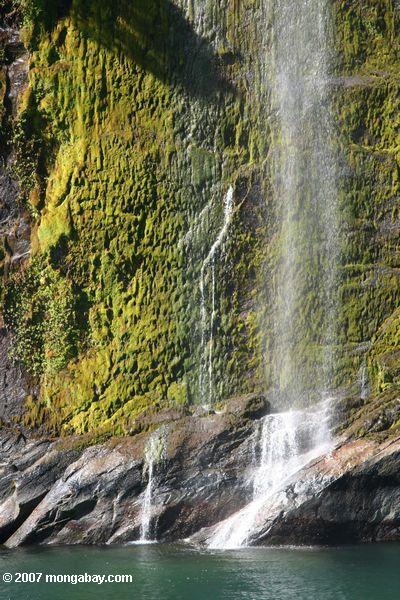 Cachoeira em Milford Sound