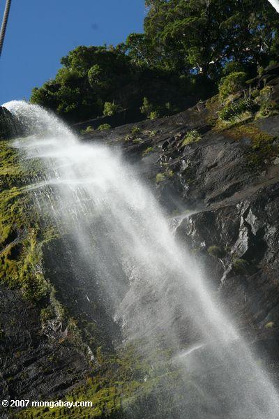 Chute d'eau en Milford Sound