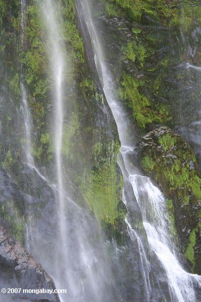 Chute d'eau en Milford Sound