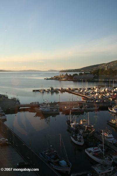 Segelboote in Hobart