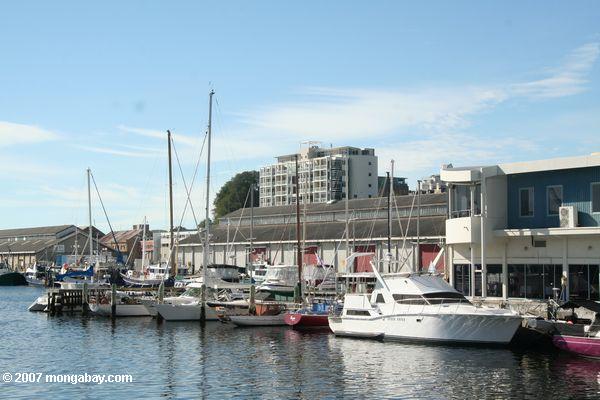 Bateaux à voiles à Hobart