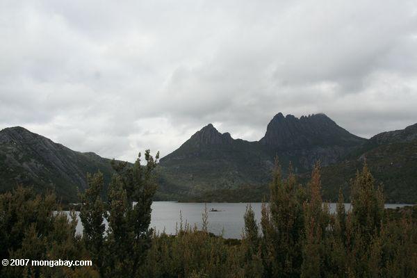 Montaña de la horquilla, Tasmania